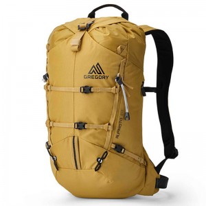 Gregory Alpinisto 20 - Tourenrucks?cke