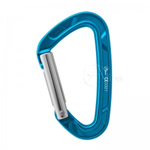 Aliens Alu D Straight Gate Classic Karabiner hellblau