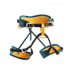 Wild Country Movement Junior Klettergurt petrol/nectar