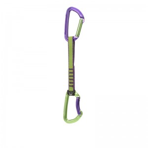 Wild Country Session Quickdraw purple/green 12 cm