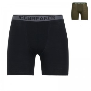 Icebreaker BF150 Anatomica Long Boxers Unterw?sche Herren