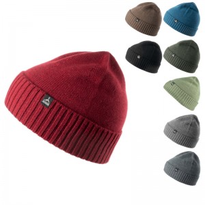 Altidude Plain Beanie