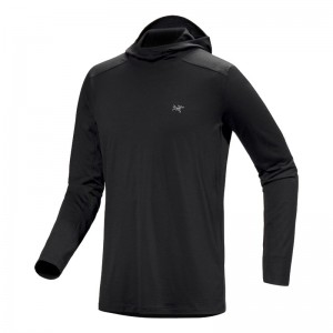 Arcteryx Ionia Merino Wool Hoody M?nner