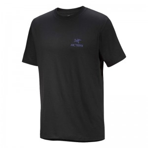 Arcteryx Kragg Bird Word SS - T-Shirt M?nner