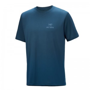 Arcteryx Kragg SL Cotton Bird Word SS - T-Shirts M?nner