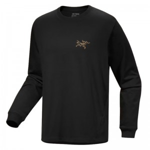 Arcteryx Kragg Cotton LS 24K black XXL