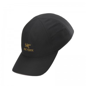 Arcteryx Bird Word Cap