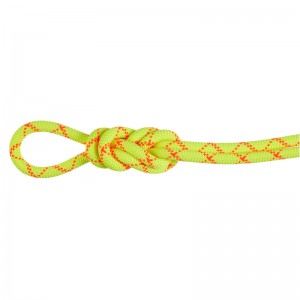 Mammut 9.5 Alpine Core Protect Dry Rope