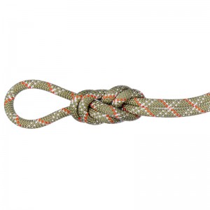 Mammut 9.5 Gym Classic Standard Rope Einfachseil