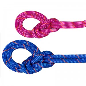 Mammut 9.5 Crag Dry Standard Einfachseil