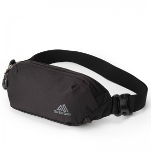 Gregory Rhune Belt Bag - Geldtasche