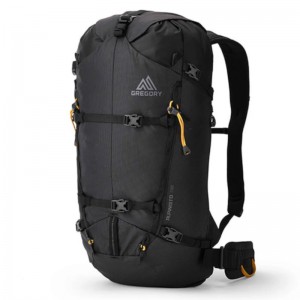 Gregory Alpinisto 30 - Tagesrucksack