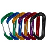 DMM Wisp Karabiner Colour 6 Pack