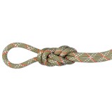 Mammut 9.5 Gym Classic Standard Rope Einfachseil