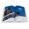 Panico Alpinverlag Deutschland Ski Allgäu inkl. GPS-Tracks 2023