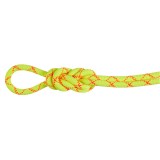 Mammut 9.5 Alpine Core Protect Dry Rope